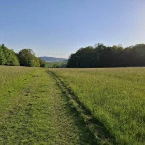 1001 B1 Piešťany - Bratislava