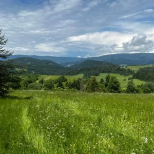 1003 B1 Žilina - Poprad