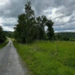 1005-B1-galeria-02