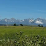 1006-B1-galeria-01