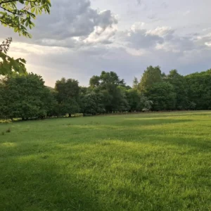 1010 B1 Čierna nad Tisou - Prešov