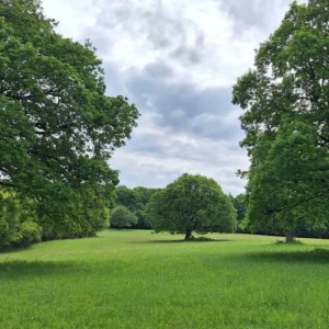 1011 B1 Žilina - Nitra