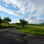 2004-B2-galeria-06