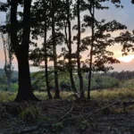 3003-B3-galeria-04