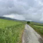 3006-B3-galeria-14