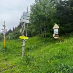 3006-B3-galeria-24