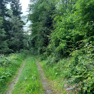 3010 B3 Slaná voda - Košice