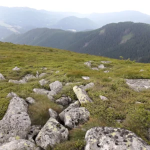 5006 BH Nízke Tatry (Ďurková)