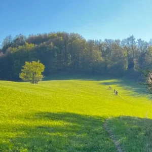 5007 BH Považský Inovec (Panská Javorina)
