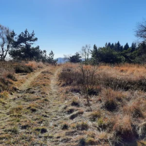 5008 BH Čergov (Žobrák)