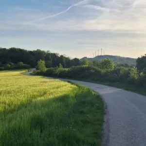 8001 H2 Malé Karpaty (Záruby)