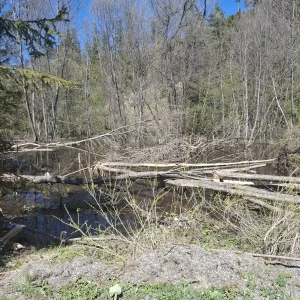 image011